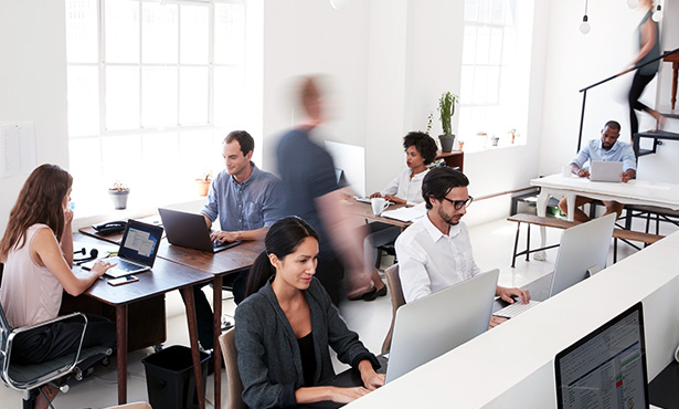 ��С��ҵ���������ƻ�